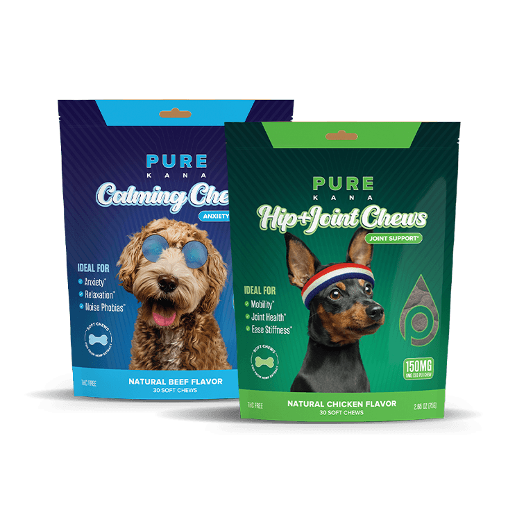 CBD Dog Treats for Mobility and Anxiety