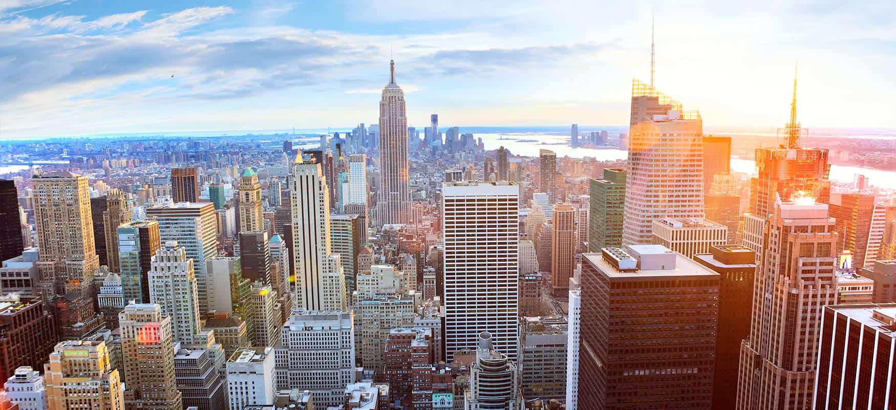 CBD Oil in New York
