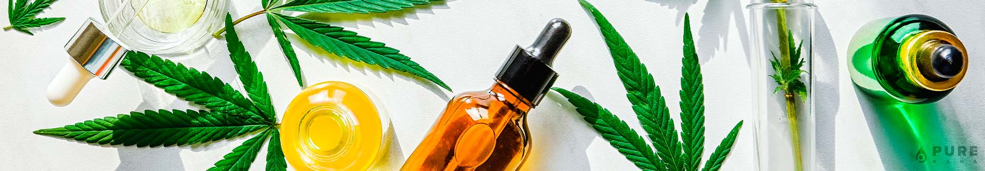 How To Store CBD Oil… The RIGHT Way