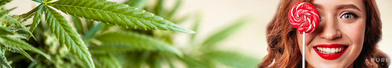 What are CBD Lollipops?