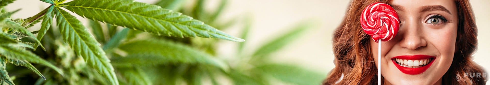 What are CBD Lollipops?