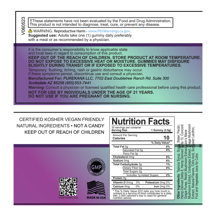 Focus Mushroom Gummies D8 + D10