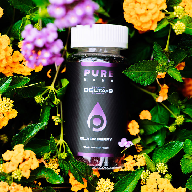 Delta 9 Gummies (240mg) | 12mg Delta 9 per Gummy