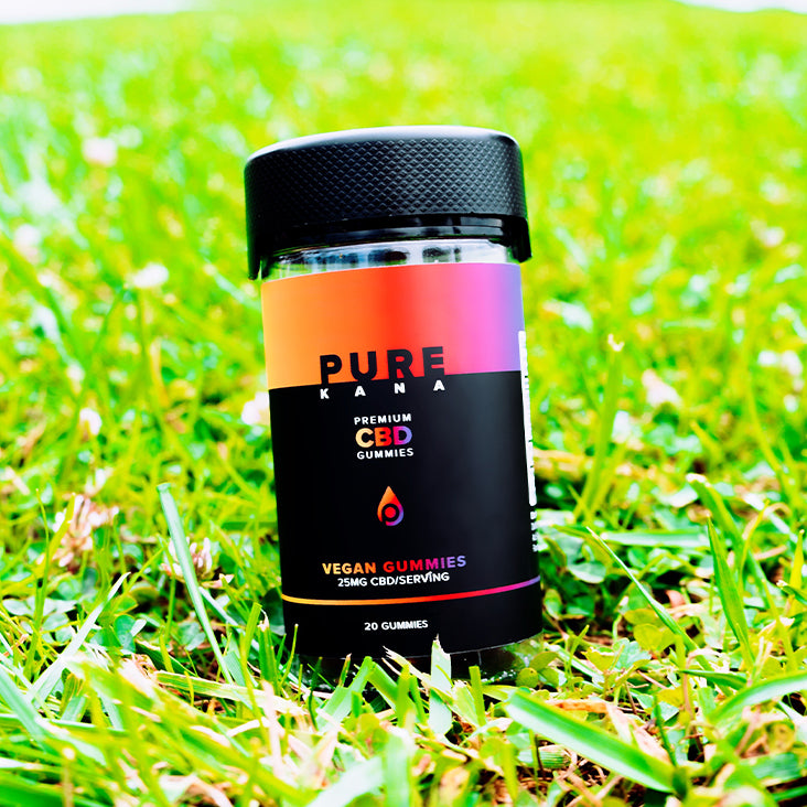 500mg CBD Gummies | 20 Gummies | Purekana – PureKana
