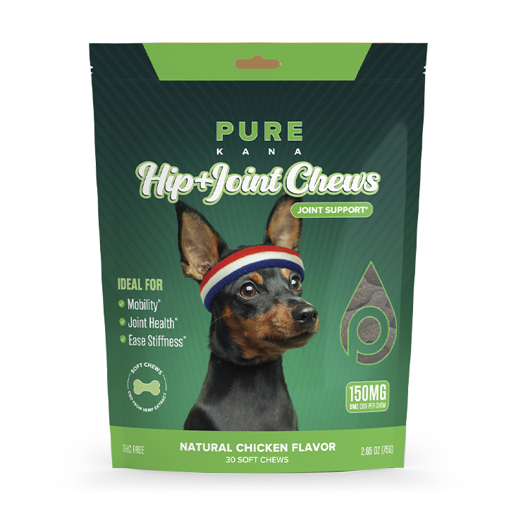CBD Dog Treats for Mobility and Anxiety