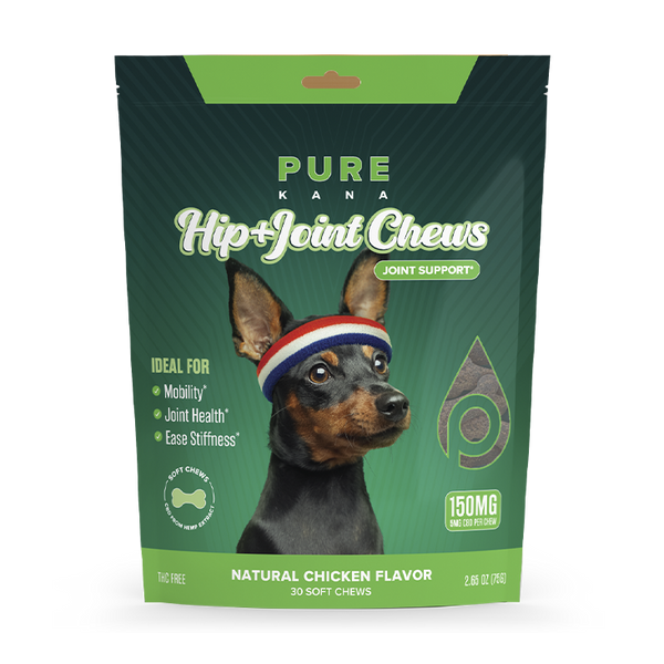 CBD Dog Treats for Mobility and Anxiety | PureKana