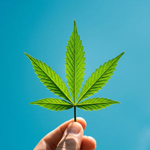 Whole-Plant Hemp