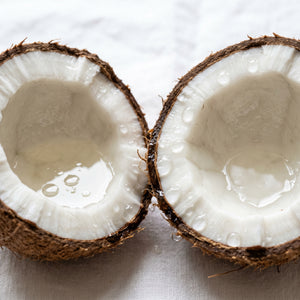 Coconut Carrier