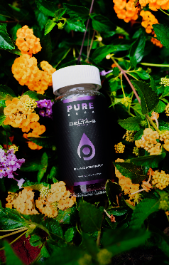 CBD For Elevate