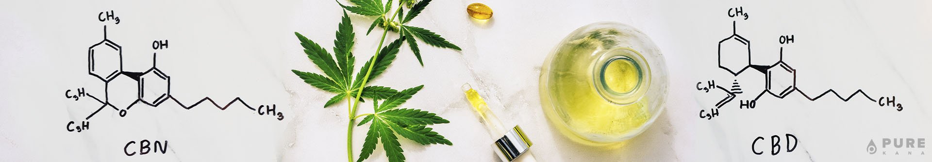 CBN vs. CBD: How They Affect Your Body Differently
