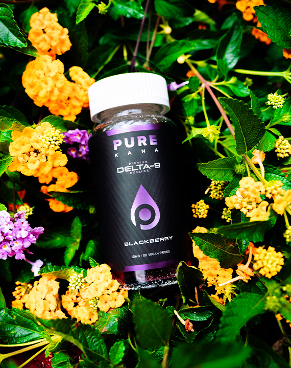 Buy CBD Gummies from PureKana | USA-Made CBD Gummies For Sale